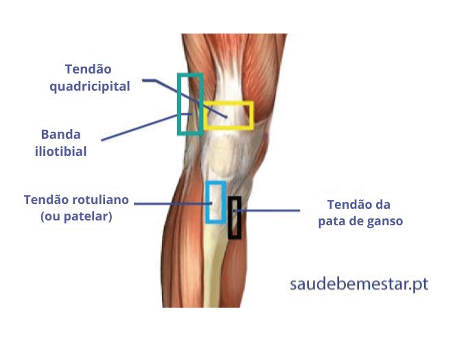 Síndrome da banda ileotibial